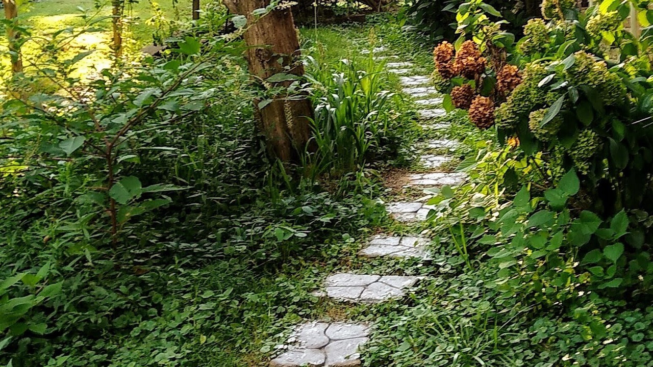 Photo of Outdoor in Paris