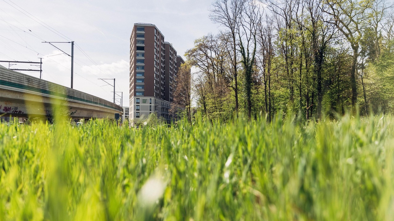 Photo of Outdoor in Wallisellen