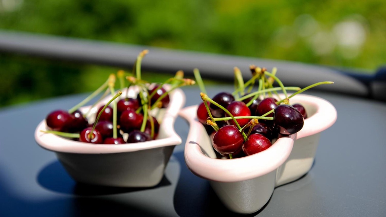 Photo of Others in Feliceto