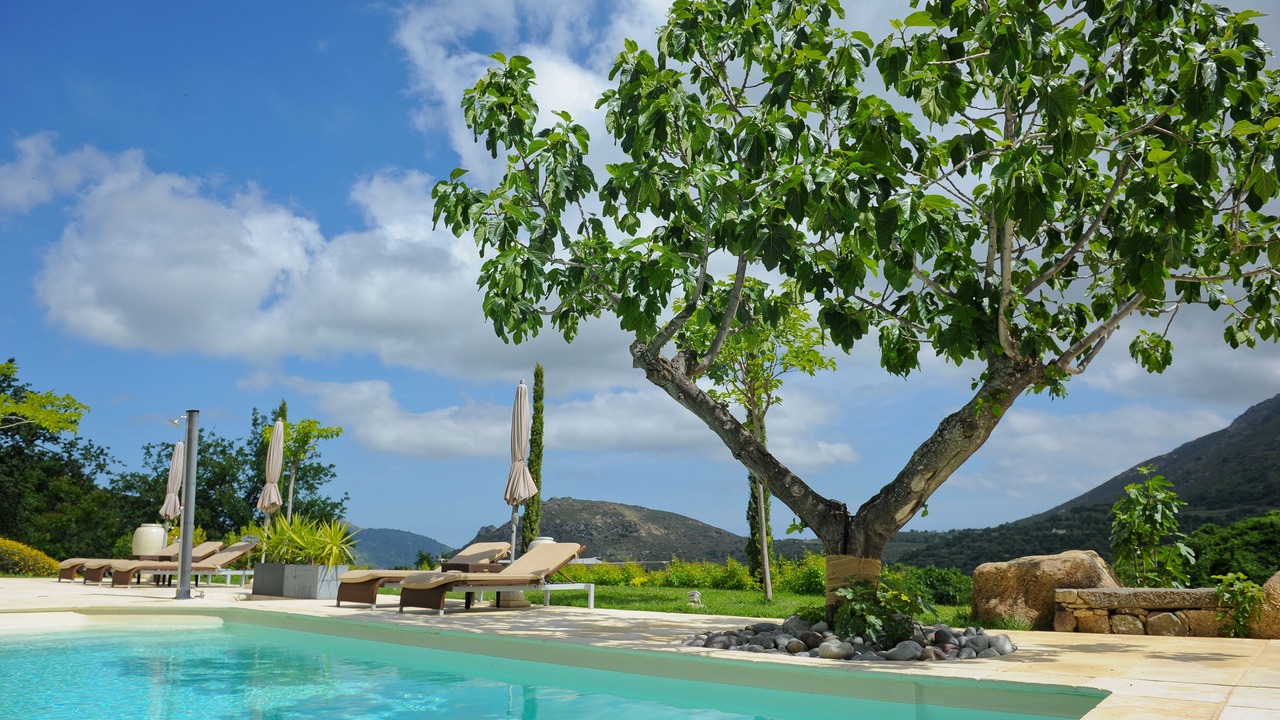 Photo of Outdoor in Feliceto