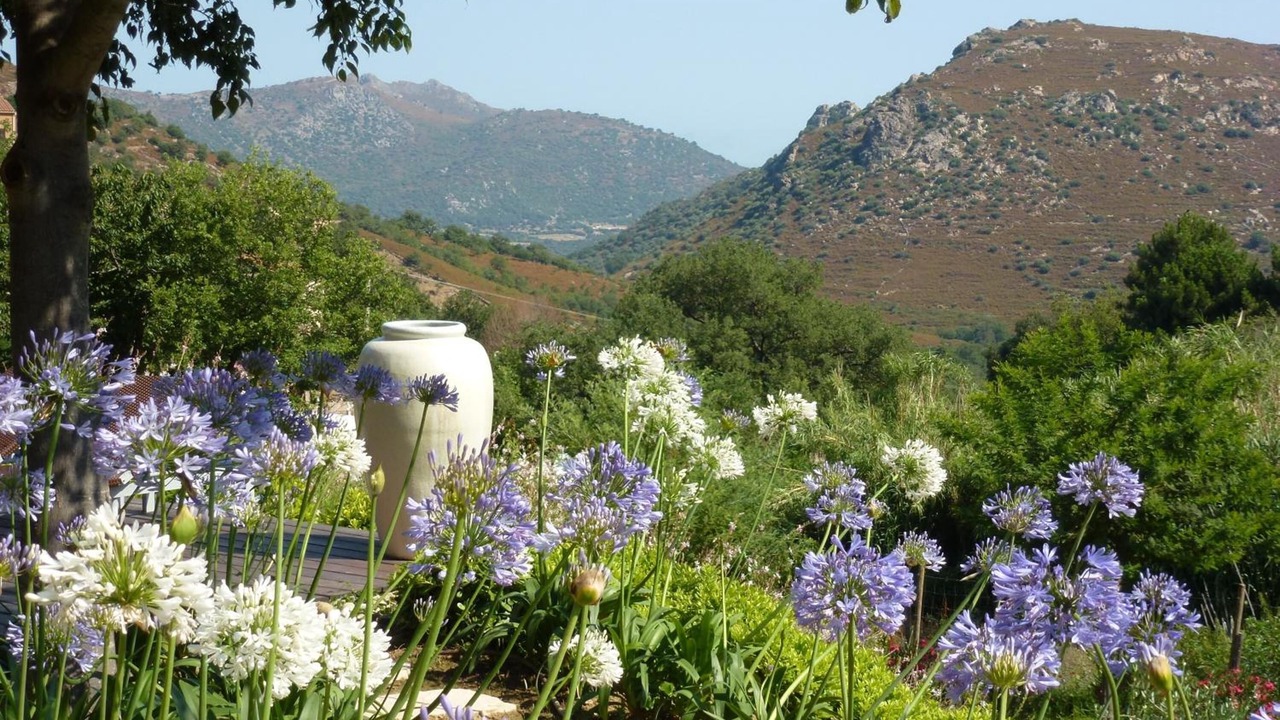 Photo of Outdoor in Feliceto