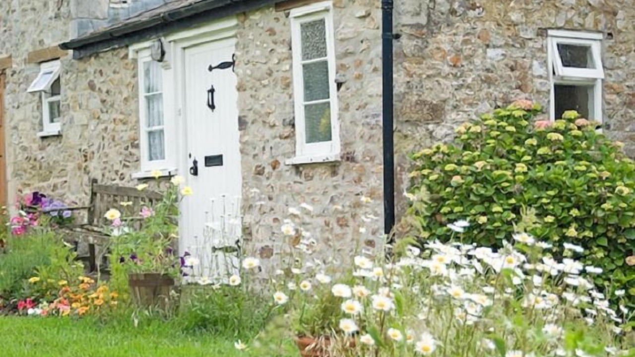 Photo of Outdoor in Seaton