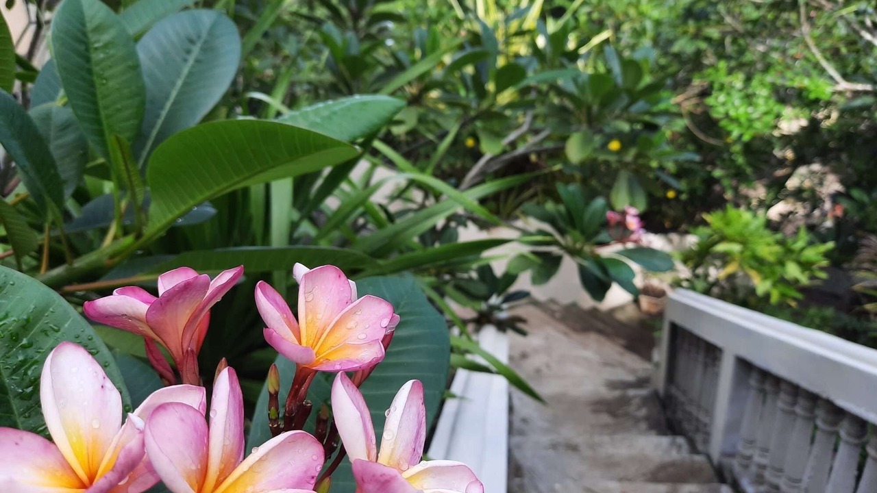 Photo of Outdoor in Bitung