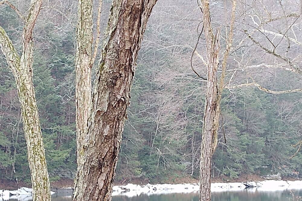 Photo of Others in Jersey Mills