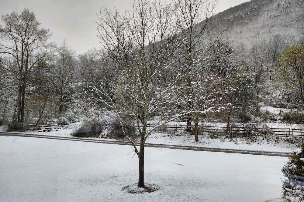 Photo of Outdoor in Jersey Mills