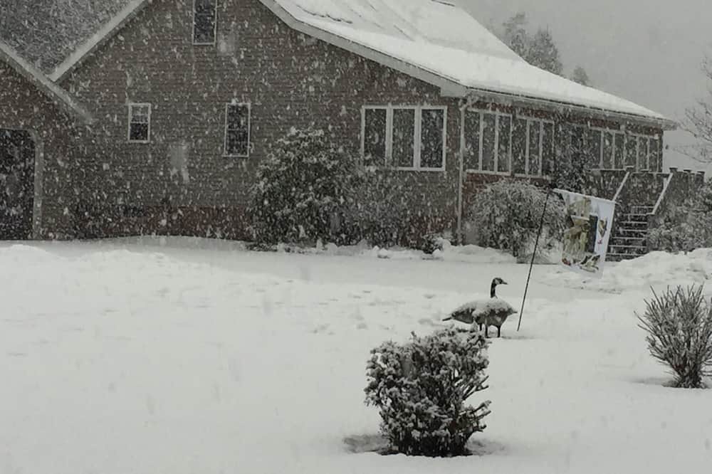 Photo of Outdoor in Jersey Mills