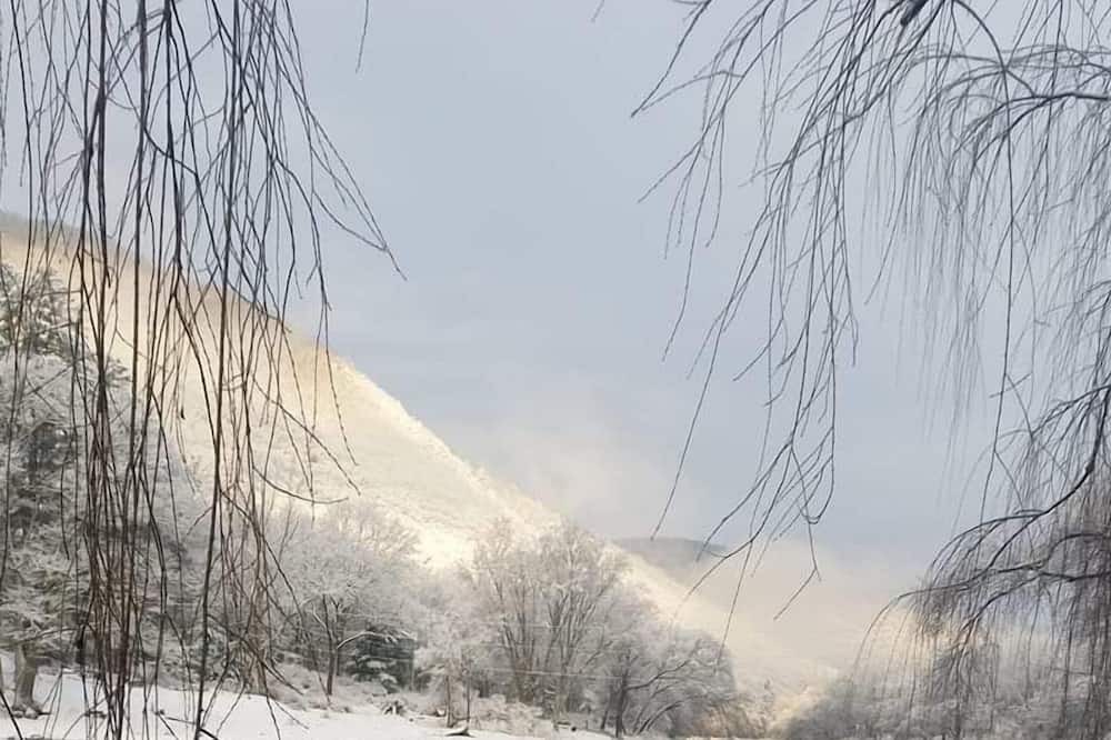 Photo of Others in Jersey Mills