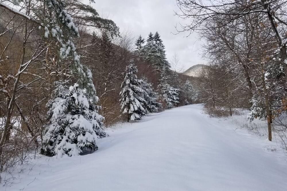 Photo of Others in Jersey Mills