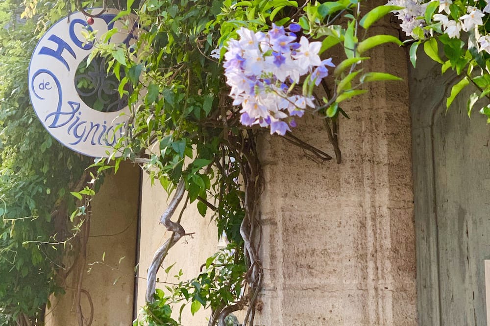 Photo of Outdoor in Pezenas