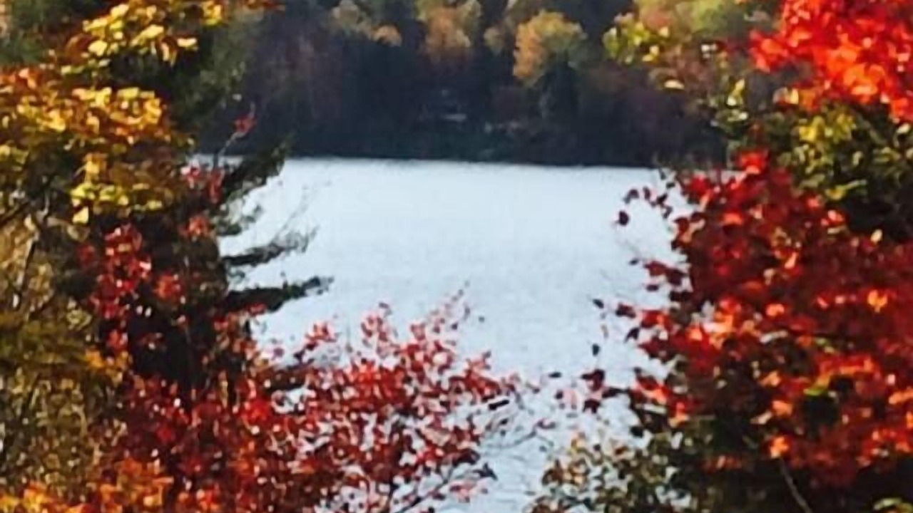 Photo of Others in Huberdeau