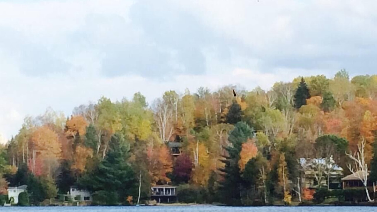 Photo of Outdoor in Huberdeau