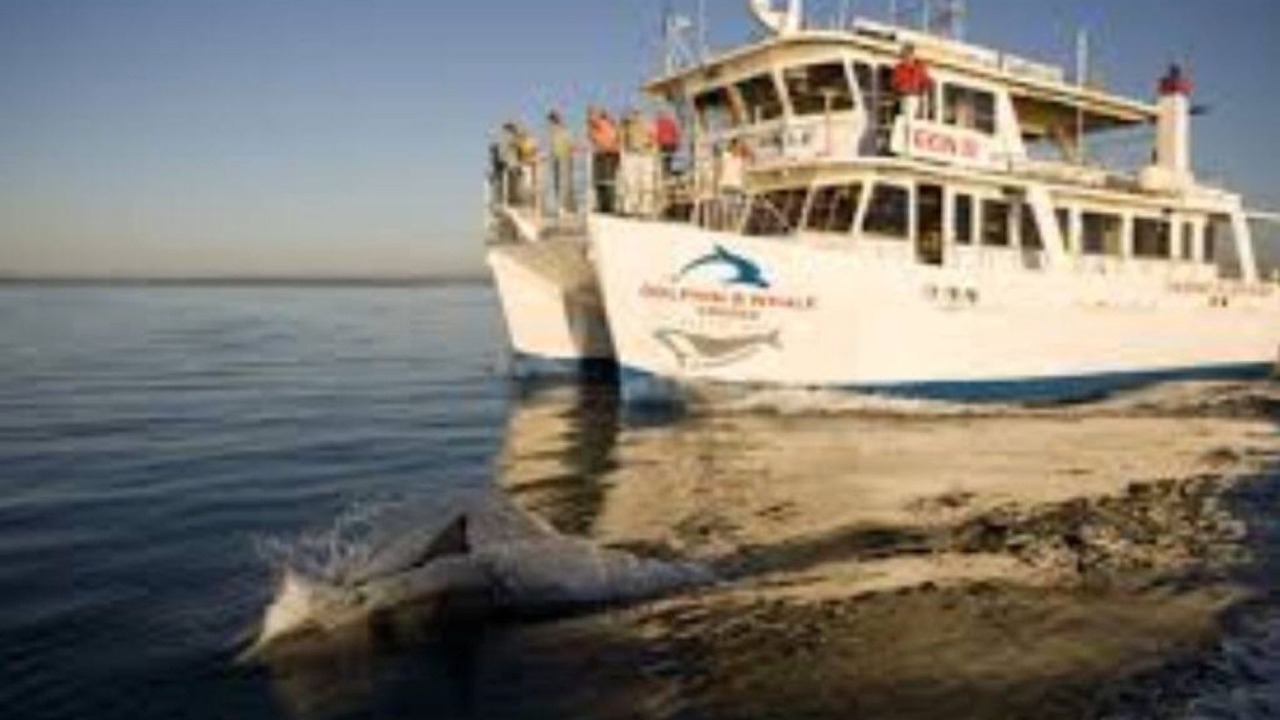 Photo of Others in Huskisson