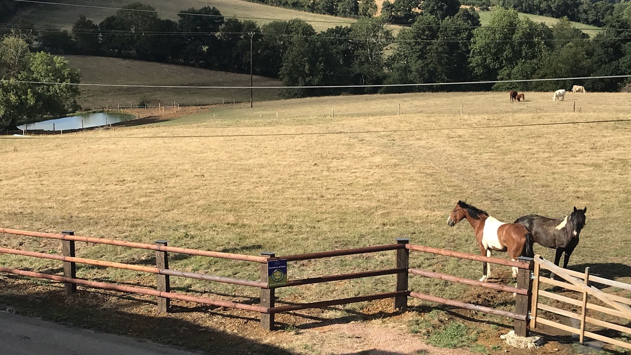 Photo of Outdoor in Trois-Monts