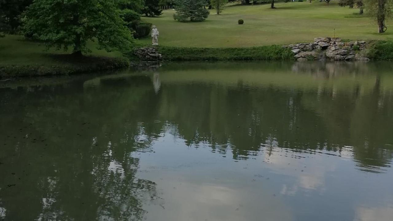 Photo of Outdoor in Lamothe-Montravel