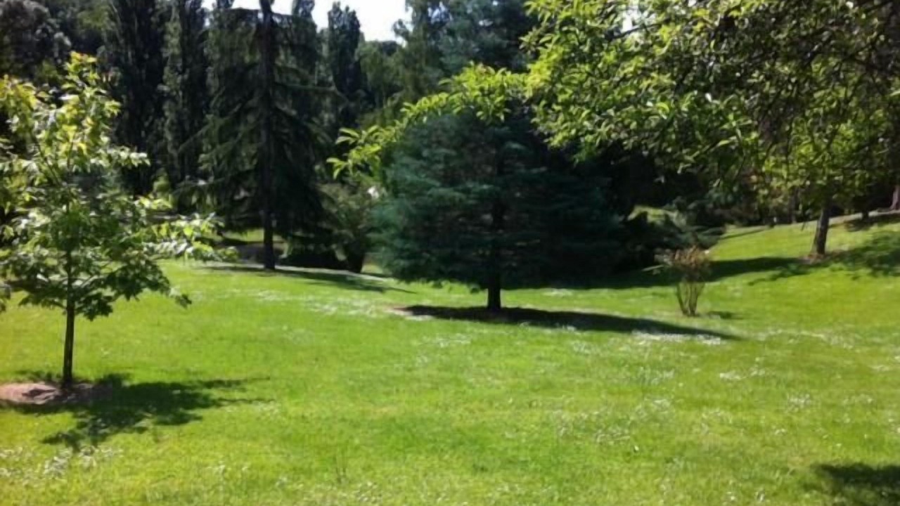 Photo of Outdoor in Lamothe-Montravel