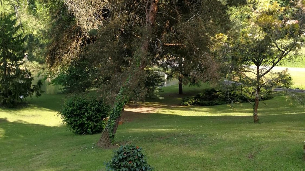 Photo of Outdoor in Lamothe-Montravel