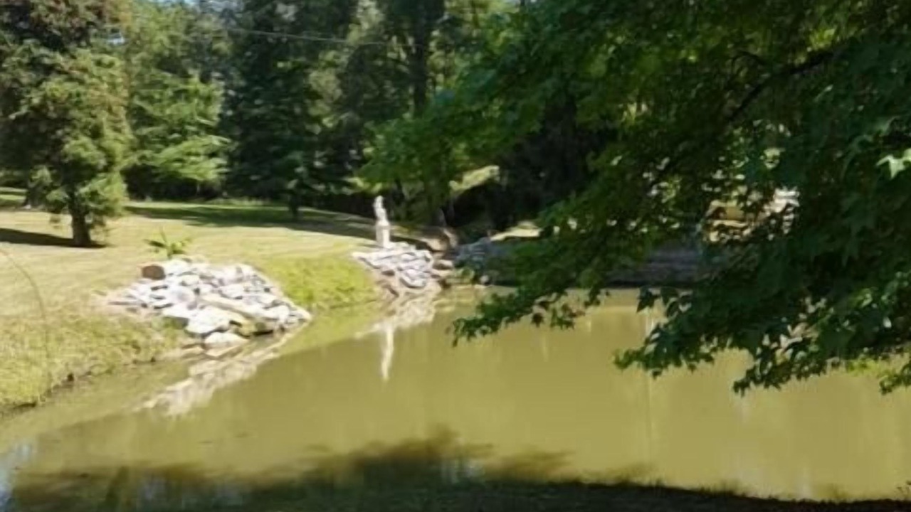 Photo of Outdoor in Lamothe-Montravel