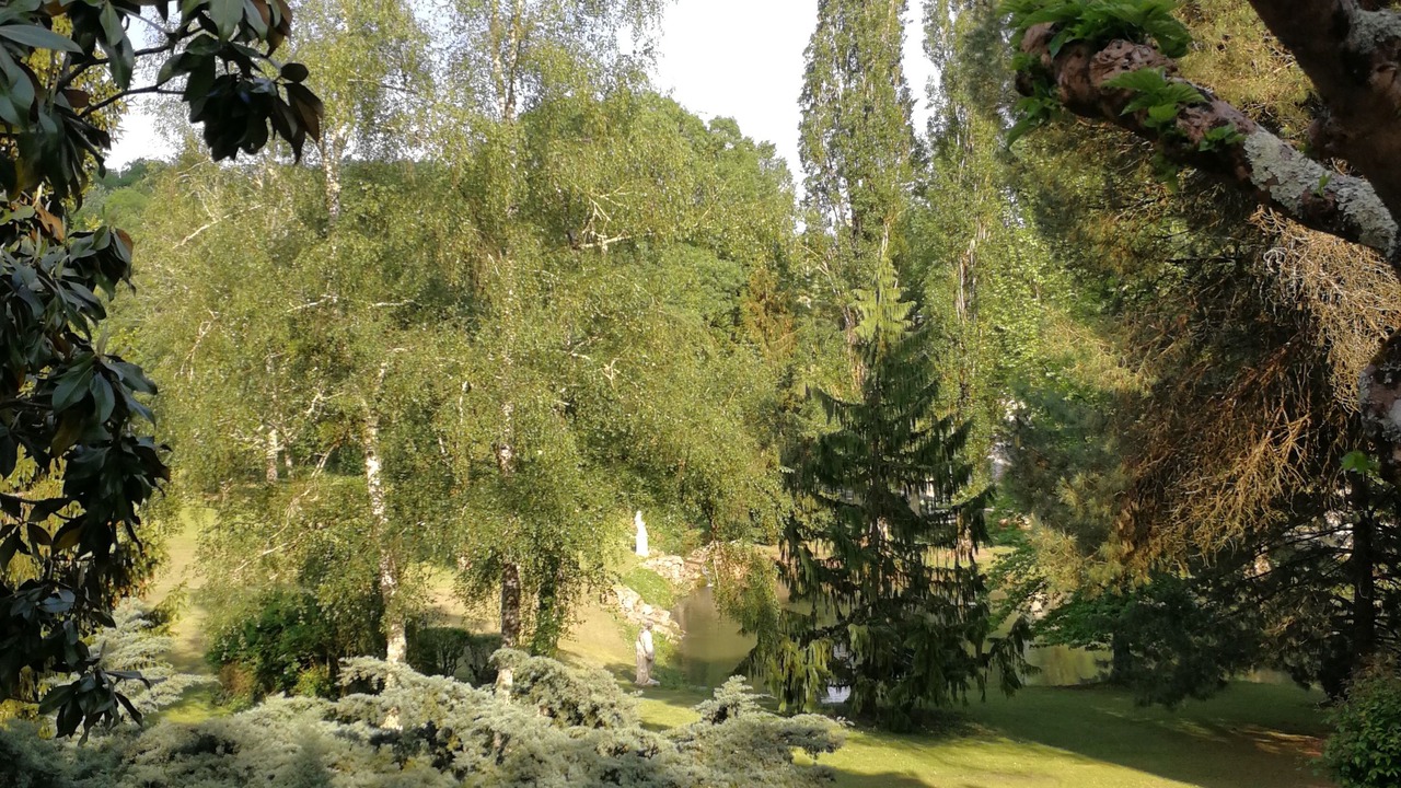 Photo of Outdoor in Lamothe-Montravel