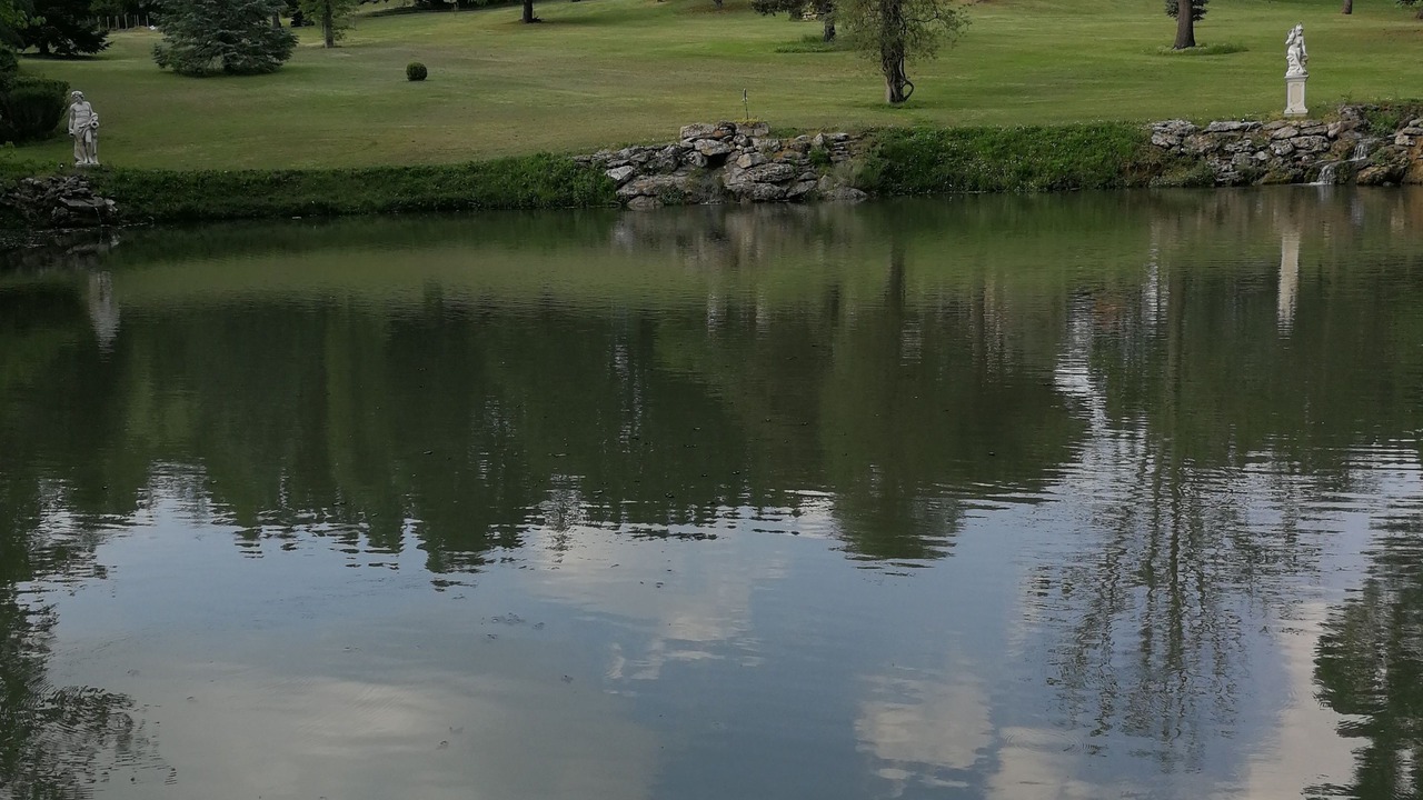 Photo of Outdoor in Lamothe-Montravel