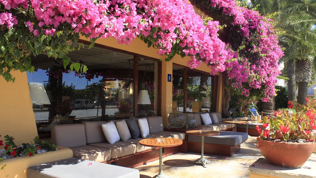 Photo of Outdoor in Vilanova I la Geltru