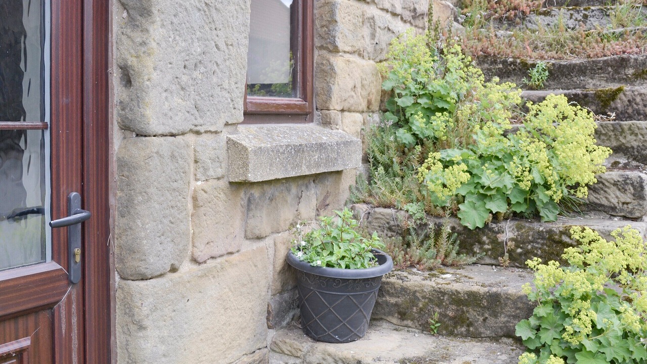 Photo of Outdoor in North York Moors National Park