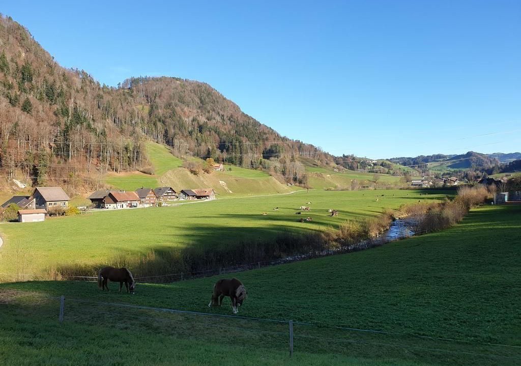 Photo of Others in Mogelsberg
