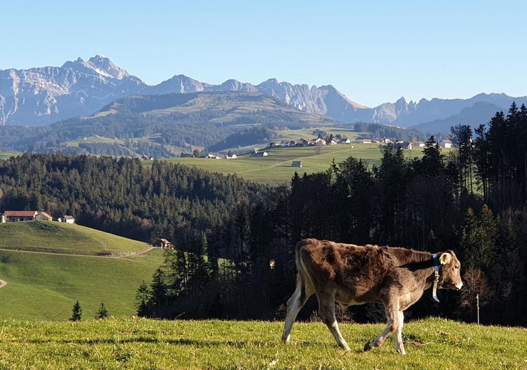 Photo of Others in Mogelsberg