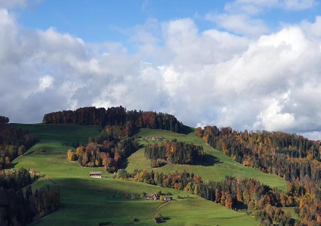 Photo of Others in Mogelsberg