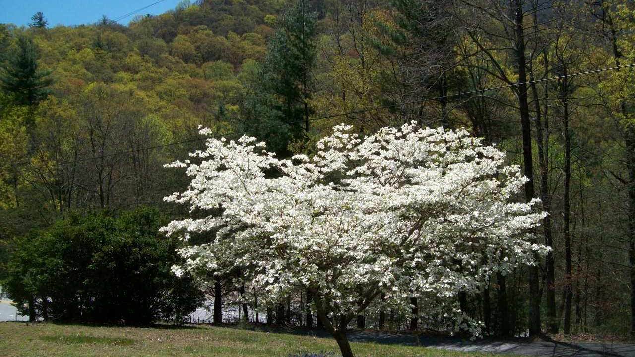 Photo of Outdoor in Blairsville