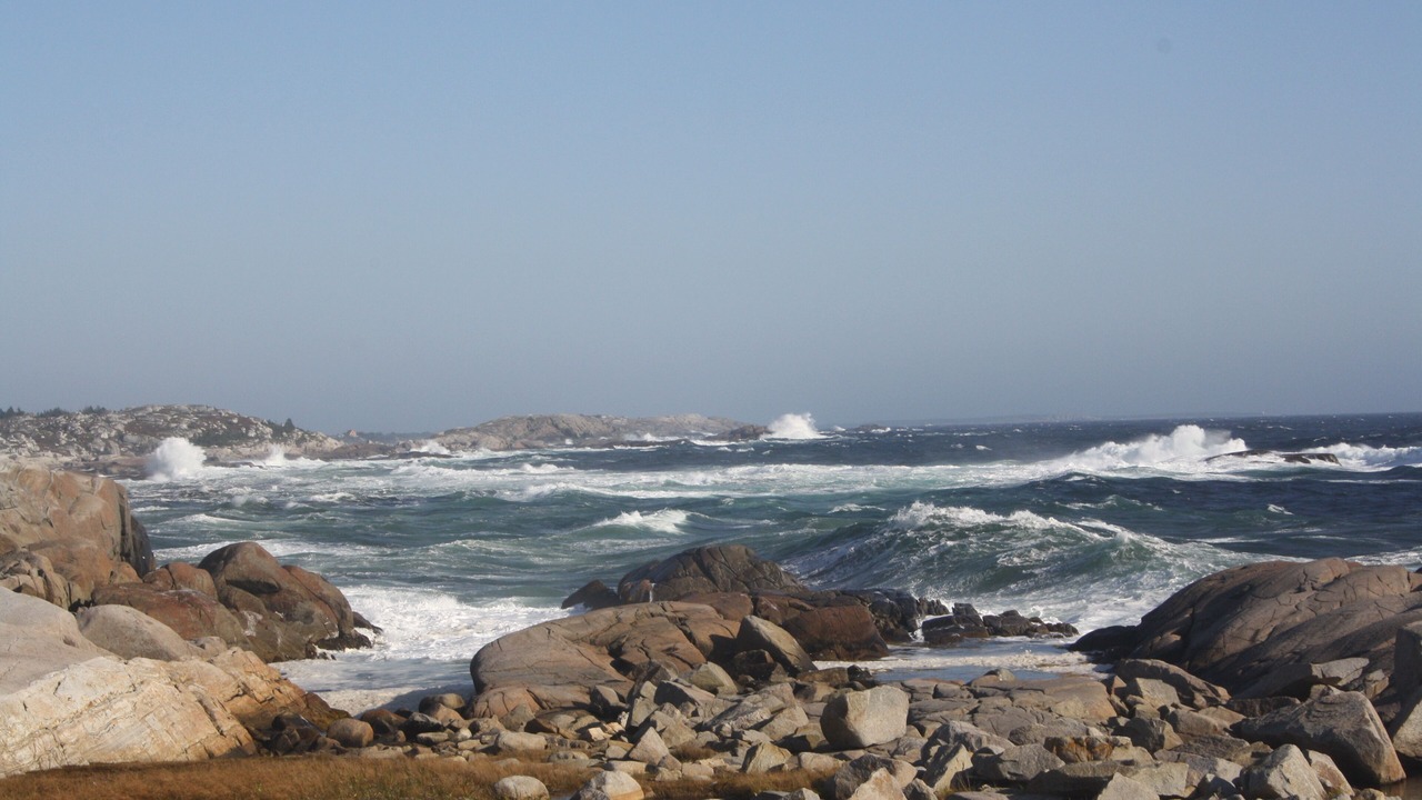 Photo of Others in Indian Harbour