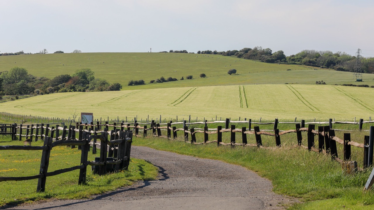 Photo of Others in Offham