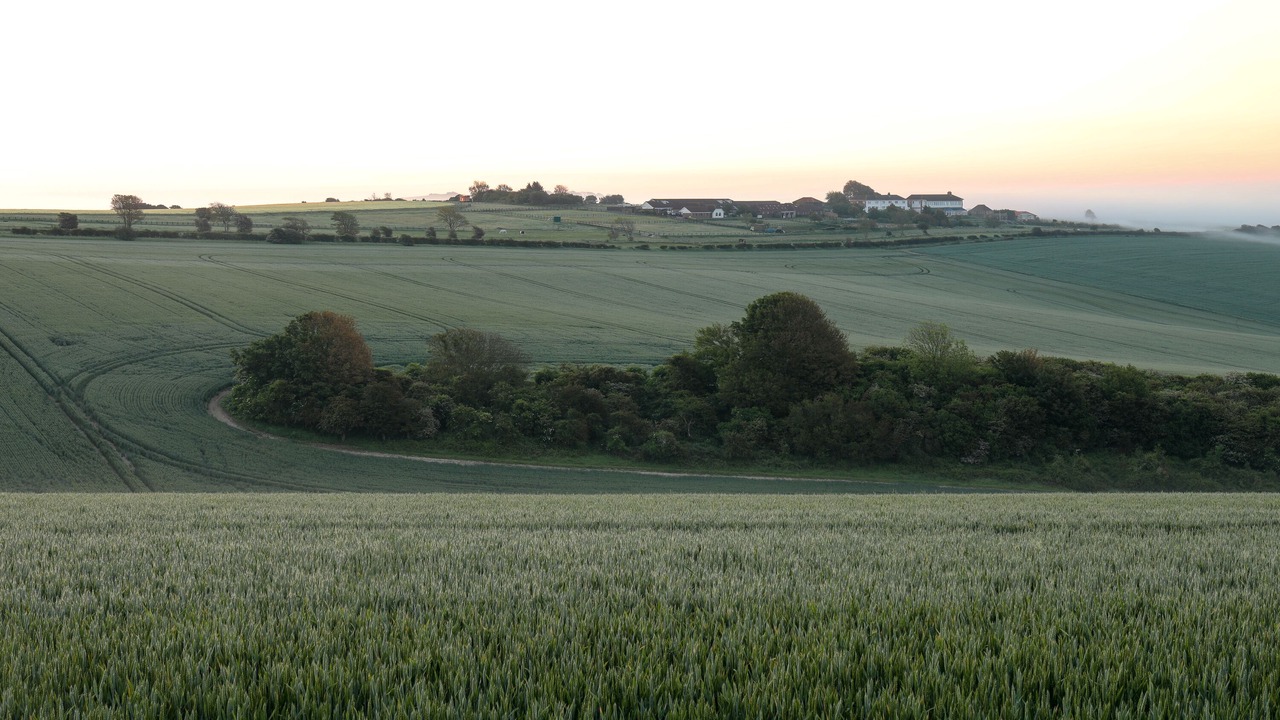 Photo of Others in Offham