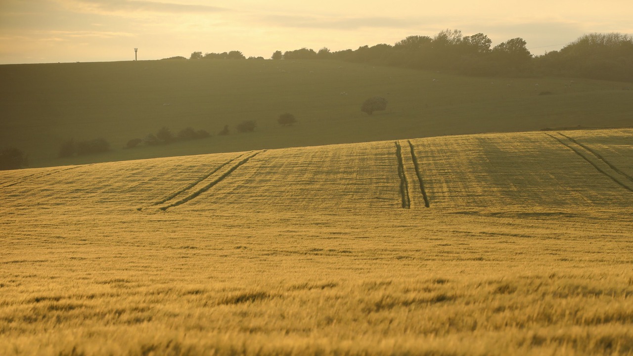 Photo of Others in Offham