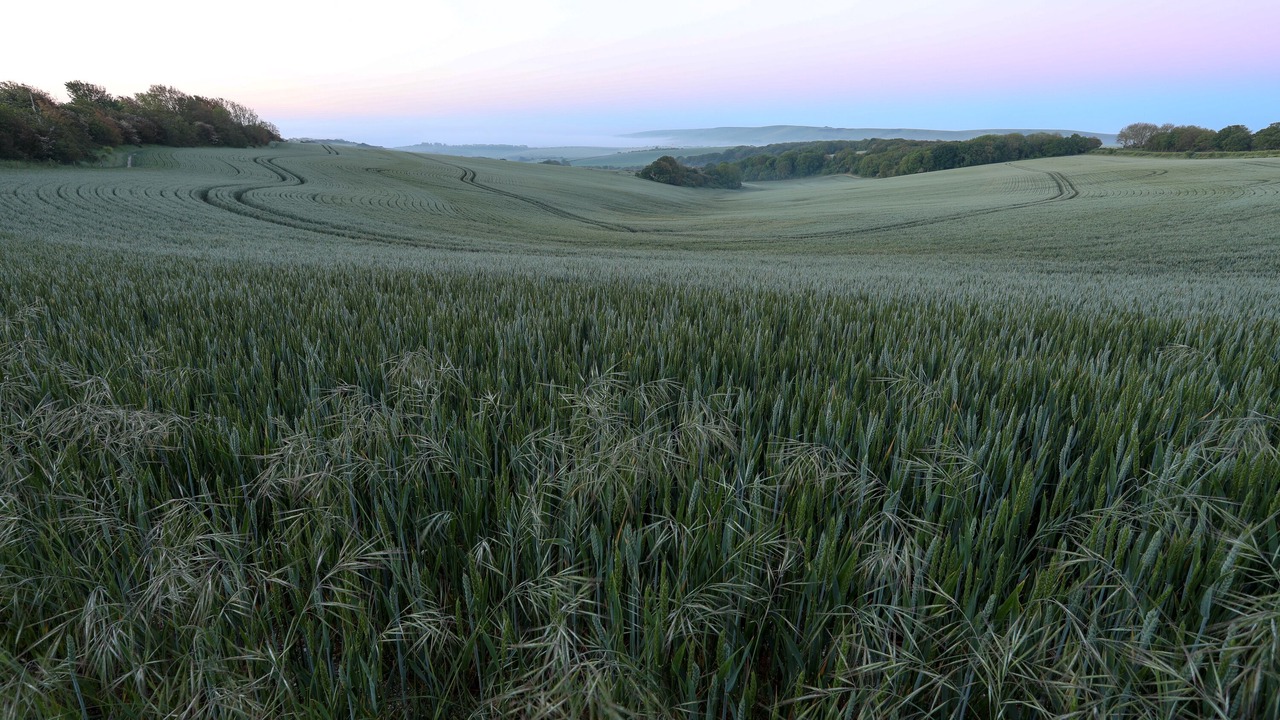 Photo of Others in Offham