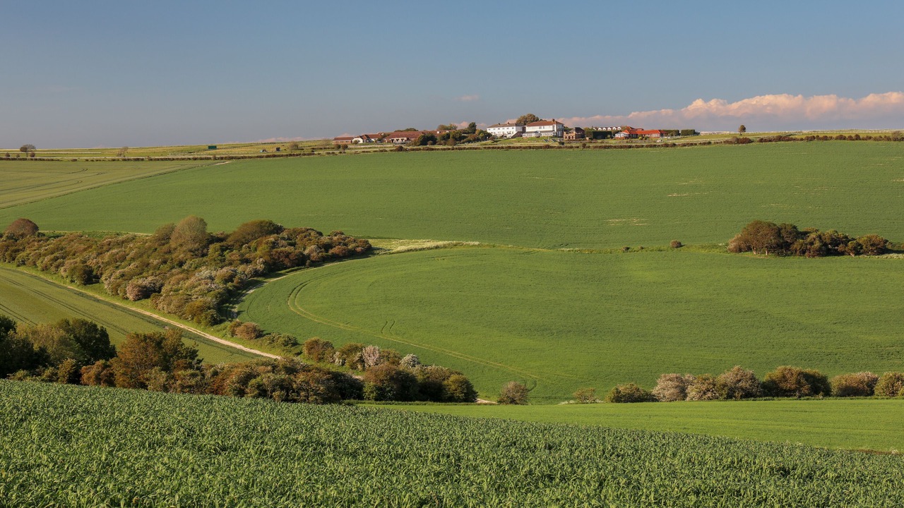 Photo of Others in Offham