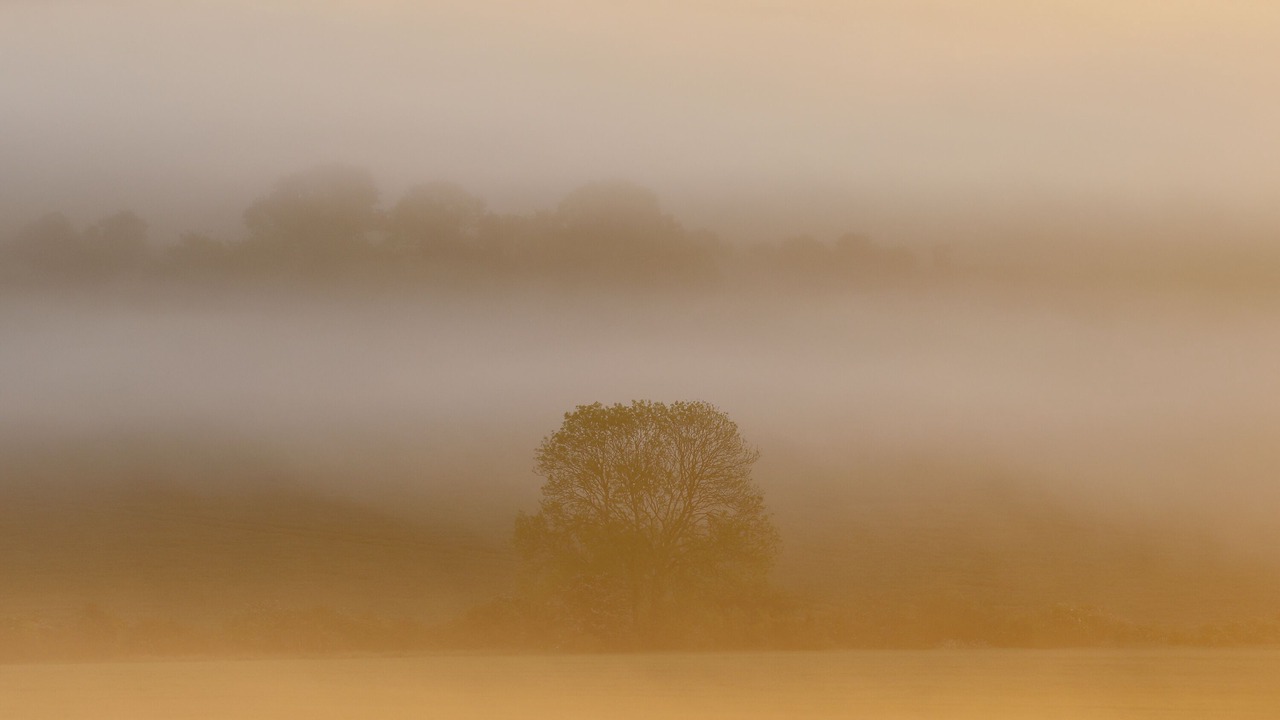 Photo of Others in Offham