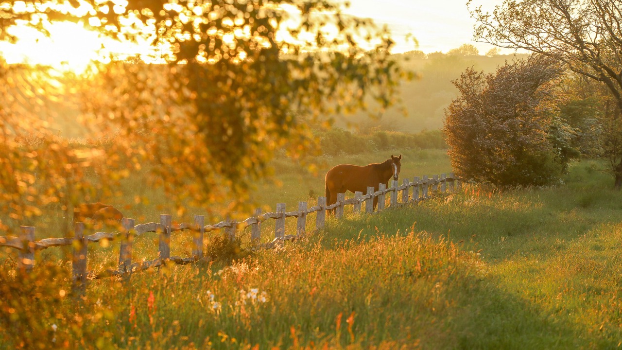 Photo of Outdoor in Offham