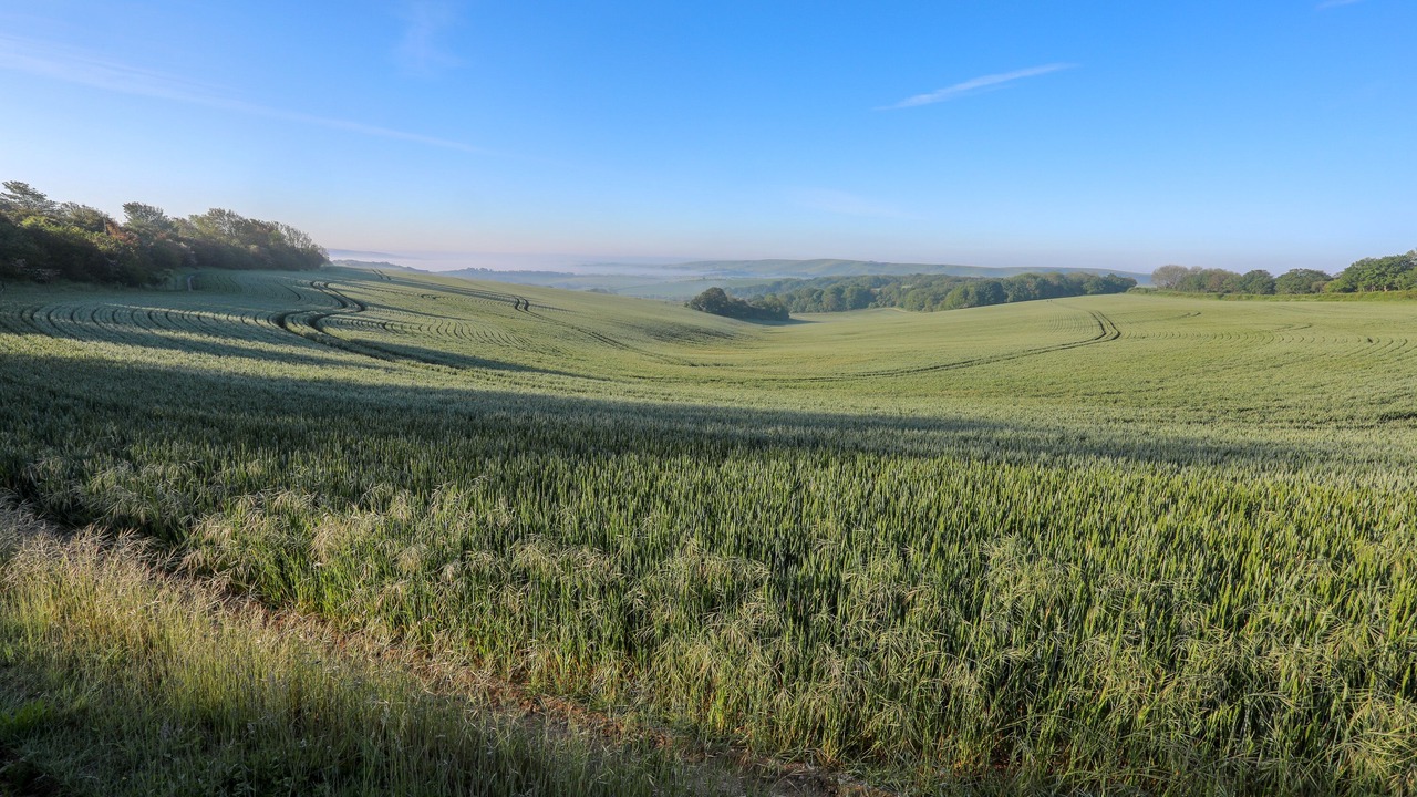 Photo of Others in Offham