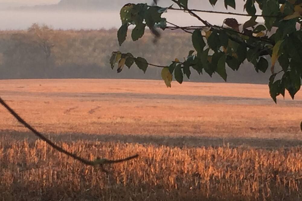 Photo of Others in Monflanquin