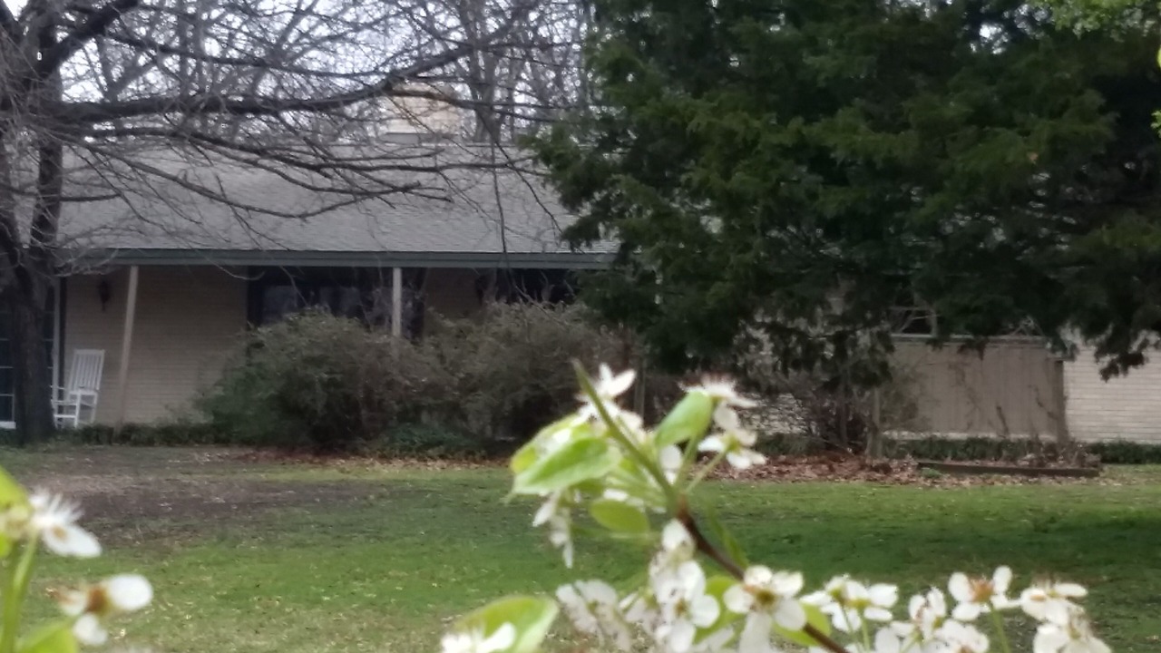 Photo of Outdoor in Parker