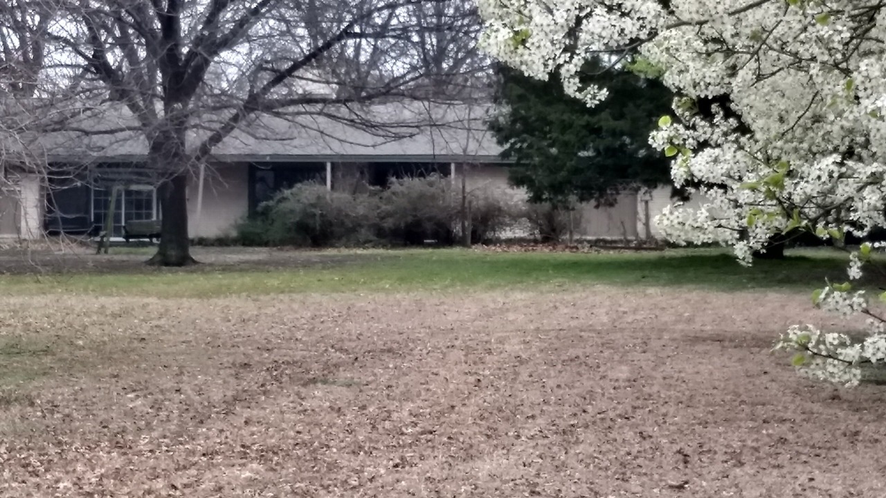 Photo of Outdoor in Parker