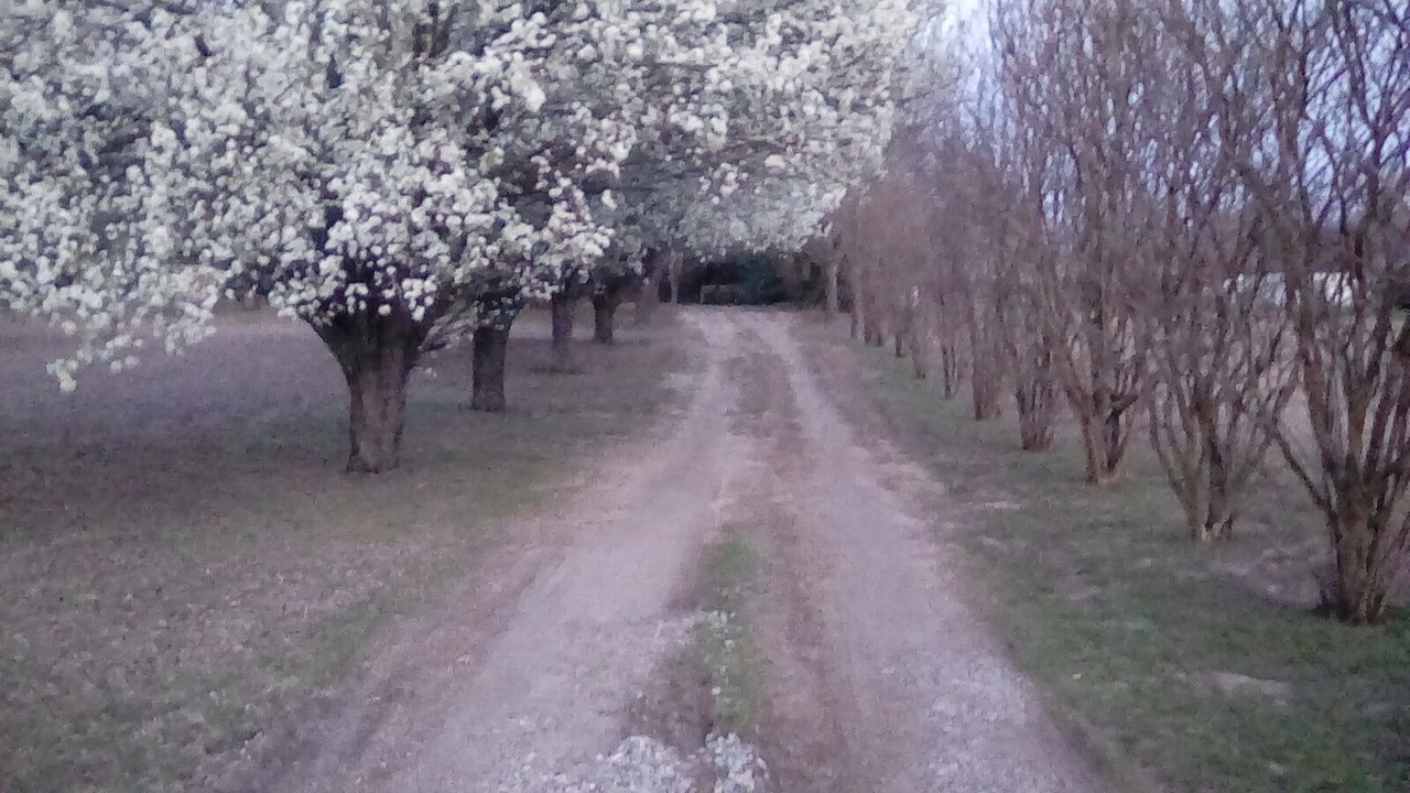 Photo of Outdoor in Parker