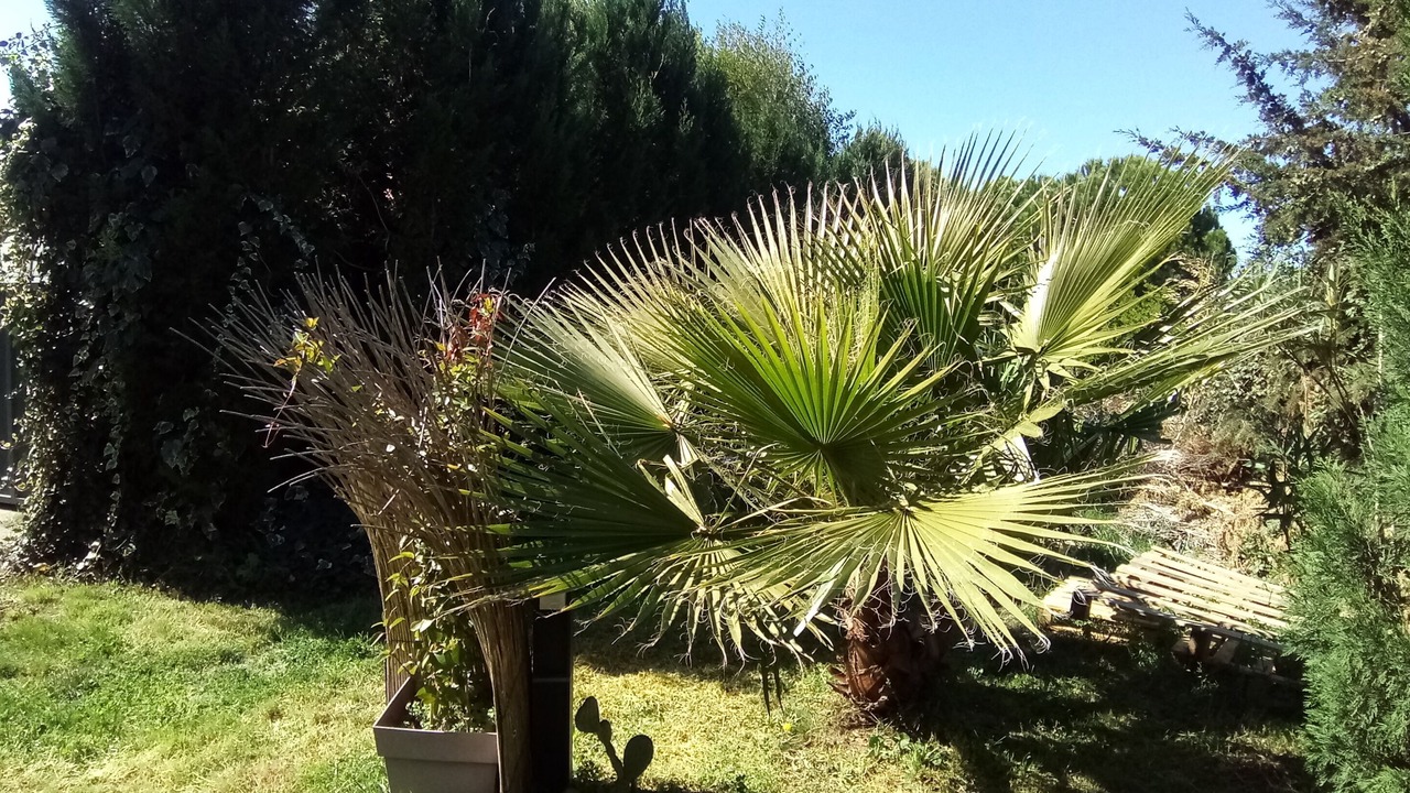 Photo of Outdoor in Perols