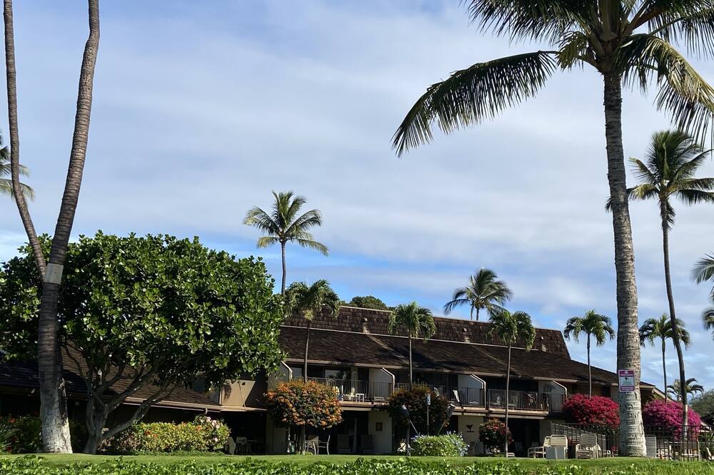 Photo of Outdoor in Kihei