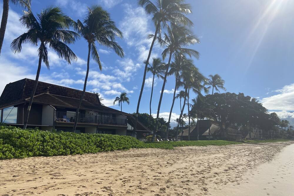 Photo of Others in Kihei