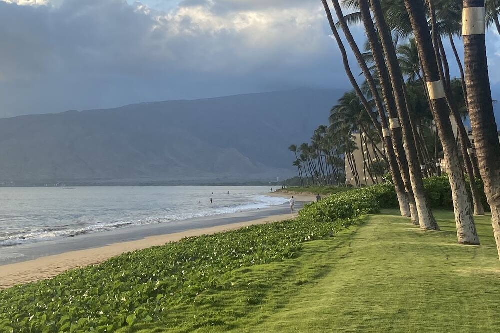 Photo of Others in Kihei