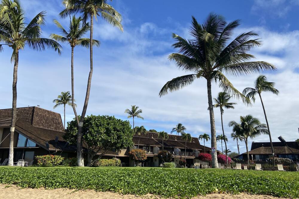 Photo of Others in Kihei