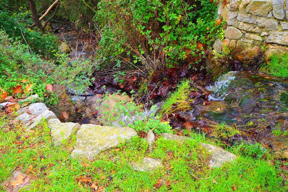 Photo of Outdoor in Tortosa