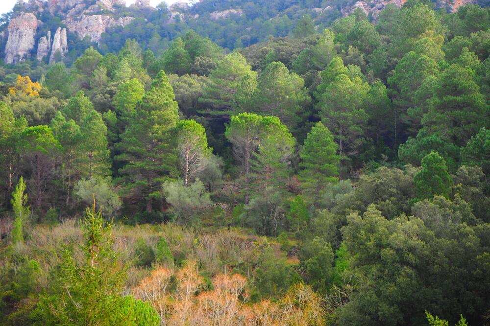 Photo of Outdoor in Tortosa