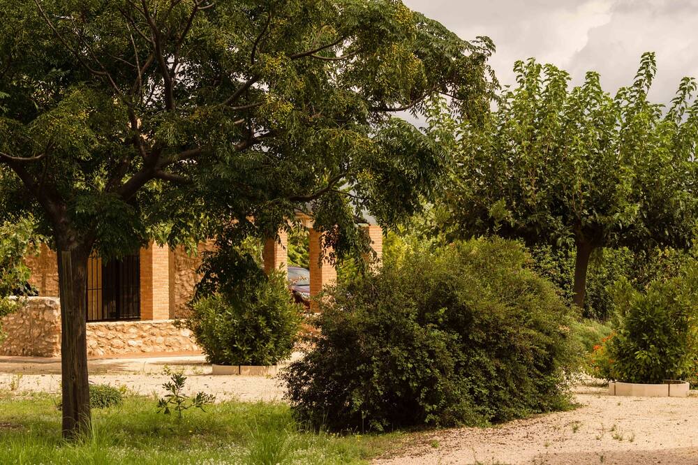 Photo of Outdoor in Tortosa